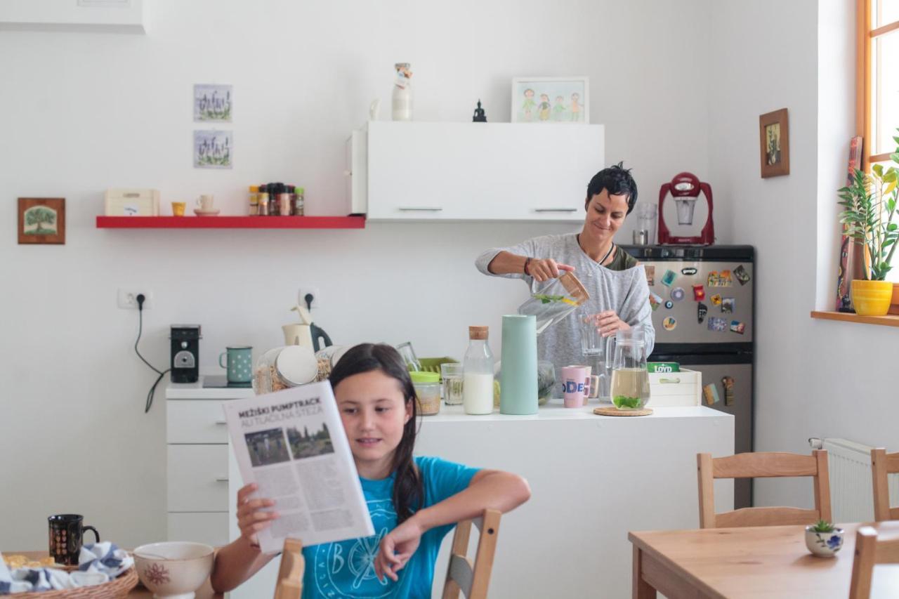 Bikeski Family Hotel, B&B, Apartaments, Rooms Mezica Εξωτερικό φωτογραφία