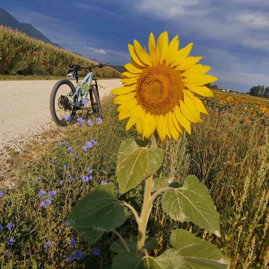 Bikeski Family Hotel, B&B, Apartaments, Rooms Mezica Εξωτερικό φωτογραφία